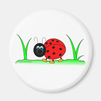 Íman Ladybug Magnet