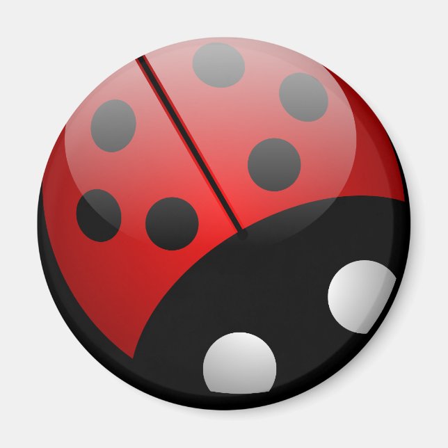 Íman Ladybug Magnet (Frente)