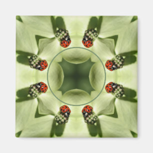 Íman Ladybug Na Dogwood Nature Adicione Sua Foto