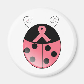 Íman Ladybug Rosa