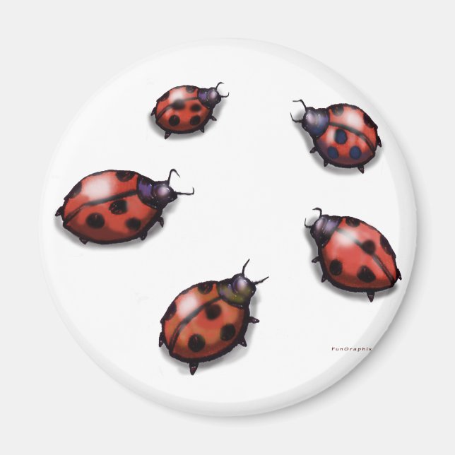 Íman Ladybugs (Frente)