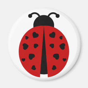 Íman ladybugz.