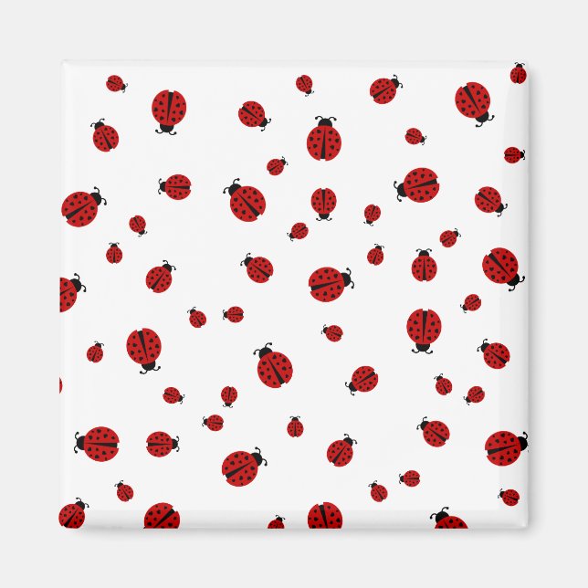 Íman ladybugz (Frente)