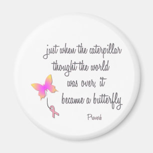 Íman Lagarta se tornou borboleta