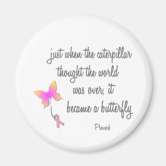 Íman Lagarta se tornou borboleta