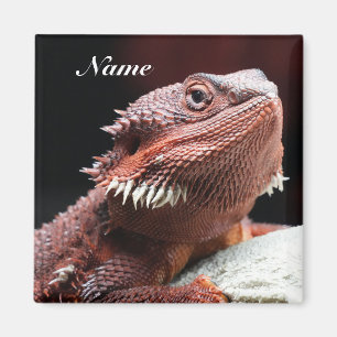 Íman Lagarto Dragão Barbudo Vermelho Adulto Personaliza