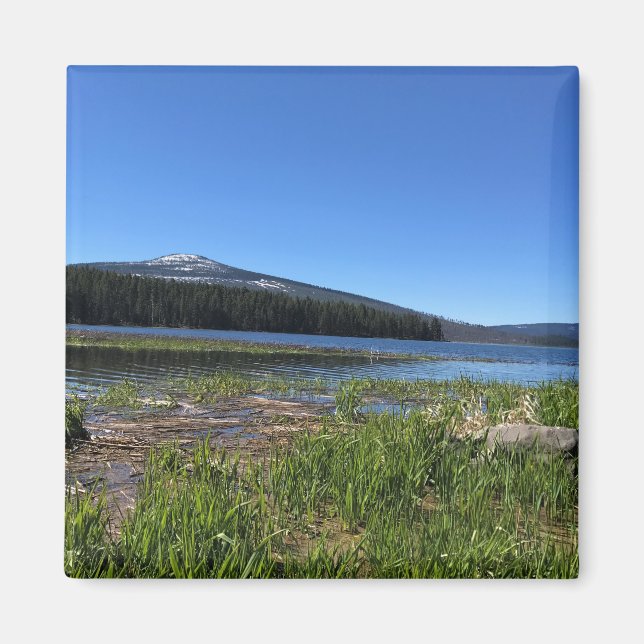 Íman Lago Davis, OR (Frente)
