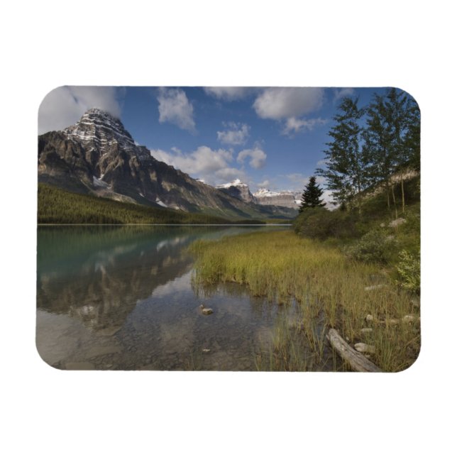 Íman lago de aves aquáticas ao longo da Icefields parkw (Horizontal)