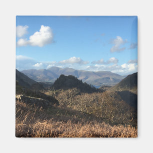 Íman Lago Distrito Magnet