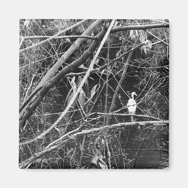 Íman lago george (Frente)