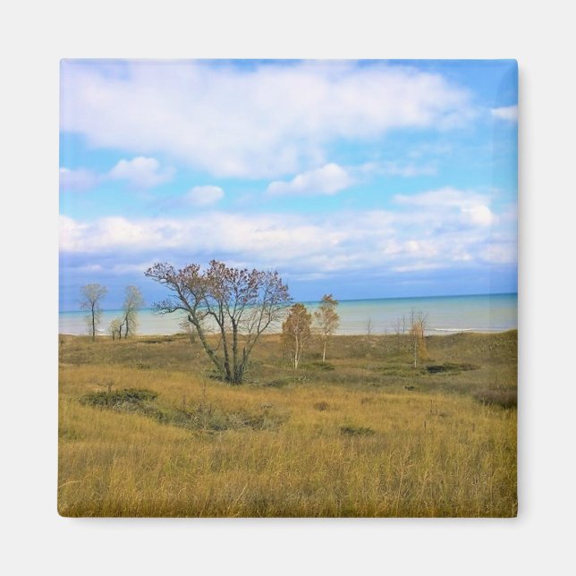 Íman Lago Michigan, Sheboygan, Wisconsin (Frente)