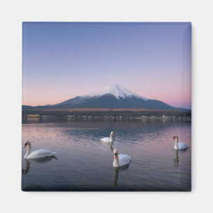 Íman Lago mount Fuji Yamanaka com cisnes