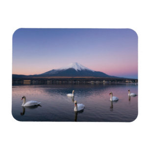 Íman Lago mount Fuji   Yamanaka com cisnes