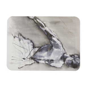 Íman Lago Swan 2001