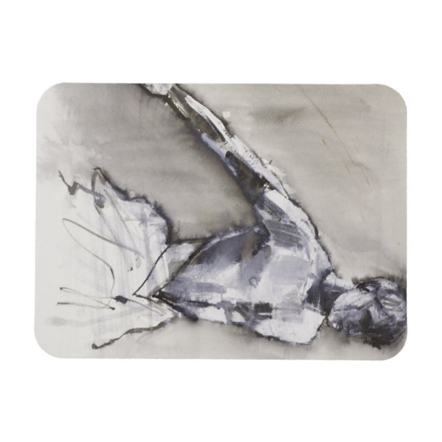 Íman Lago Swan 2001 (Horizontal)