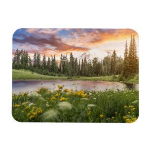 Íman Lago Tipsoo do Monte Rainier