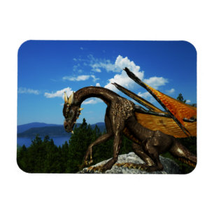 Íman Lago View Vinyl Magnet
