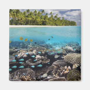 Íman Lagoa tropical no atol sul de Ari no