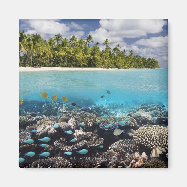 Íman Lagoa Tropical no Sul do Ari Atoll (Frente)