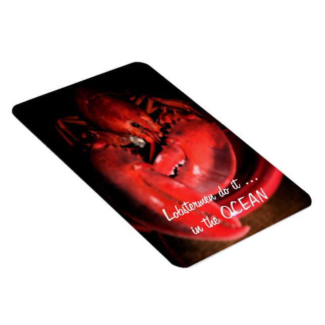 Íman Lagosta (Lado Direito)