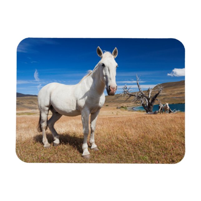 Íman Laguna Azul, paisagem com cavalos (Horizontal)