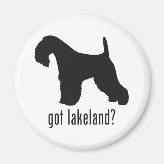 Íman Lakeland Terrier