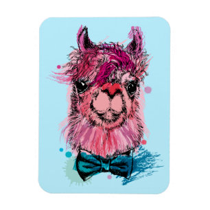 Íman Lama cor-de-rosa bonito