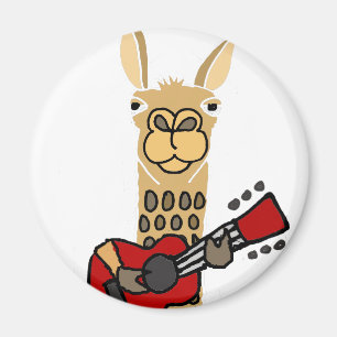 Íman Lama engraçado que joga a guitarra