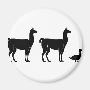 Íman Lama, lama, pato