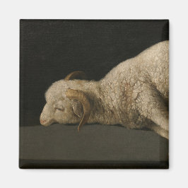 Íman Lamb de Deus (Agnus Dei) (Animais Sacrificados)