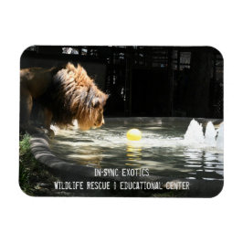 Íman Lambert - Imagem fotográfica flexível