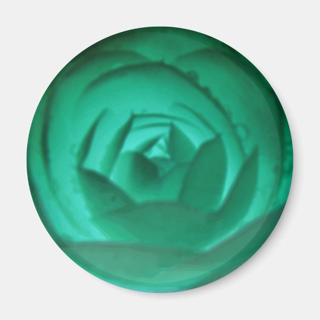 Íman Lâmina de Flor Hiponótica (Frente)