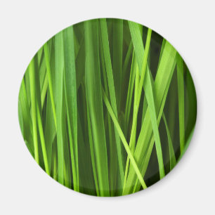 Íman Lâminas de grama