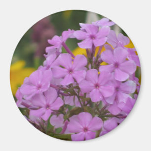 Íman Lâmpada de Jardim Roxo 3"