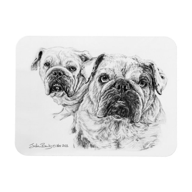 Íman Lâmpada flexível dos Divas Baldes! (Horizontal)