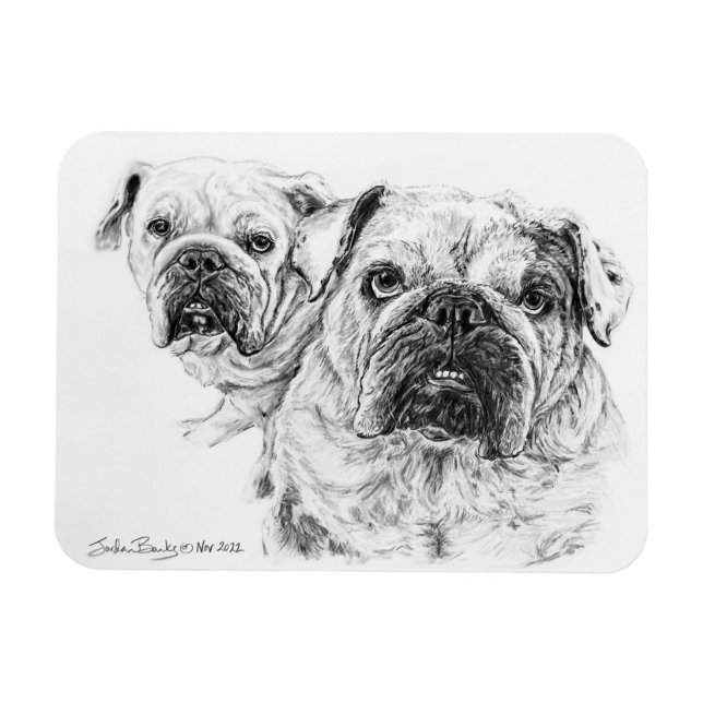 Íman Lâmpada flexível dos Divas Baldes! (Horizontal)