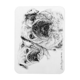 Íman Lâmpada flexível dos Divas Baldes!