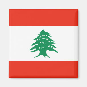 Íman Lança-bandeira do Líbano