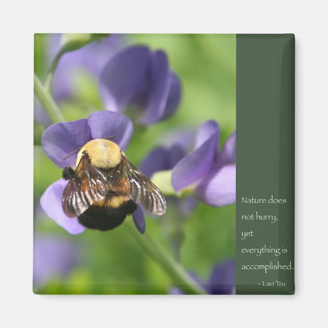 Íman Lao Tzu Palavras de Sabedoria (Frente)