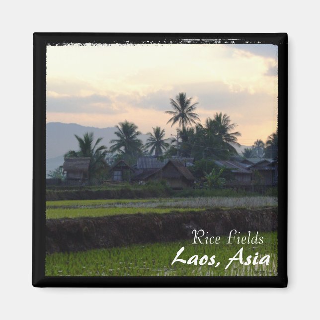Íman Laos, Sunset acima dos campos de arroz (Magnet) (Frente)