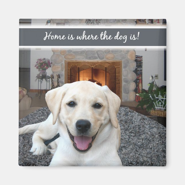 Íman Lar é onde o cão está (Frente)