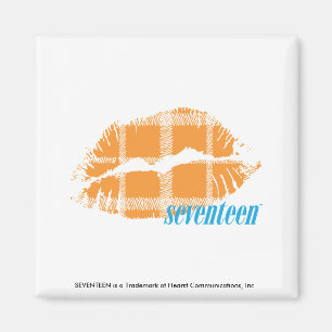 Íman Laranja da xadrez