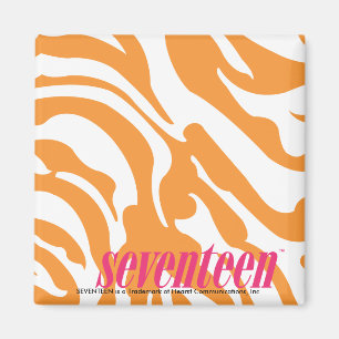 Íman Laranja da zebra