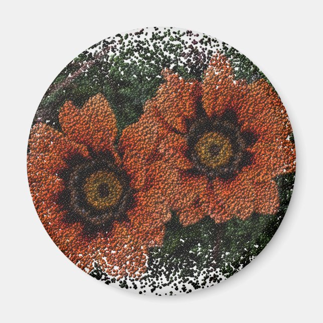 Íman Laranja Daisy Balls Round Magnet (Frente)
