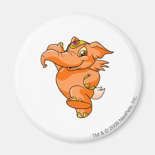 Íman Laranja de Elephante