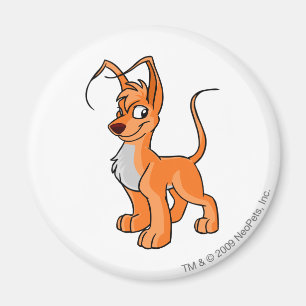 Íman Laranja de Gelert