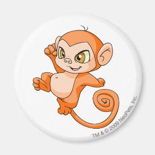 Íman Laranja de Mynci