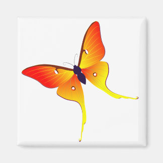 Íman Laranja Flame Butterfly Magnet Quadrado