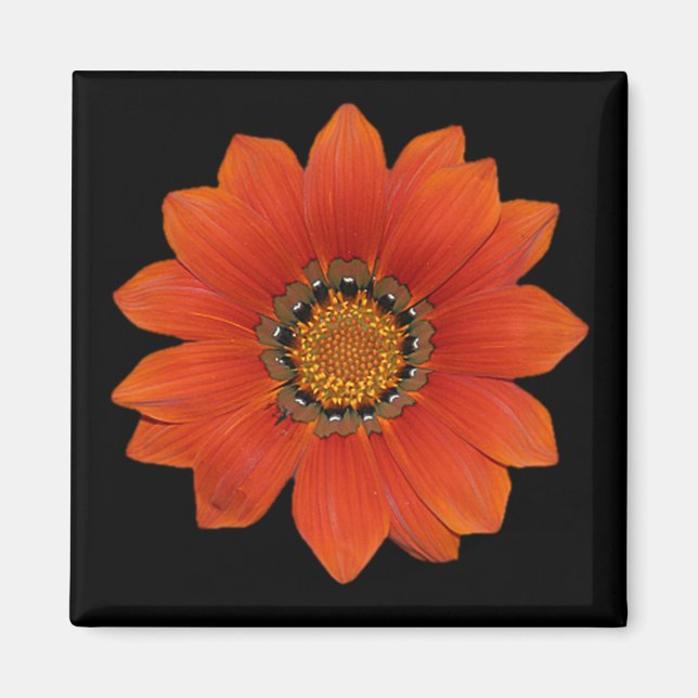 Íman Laranja Flor 2 Magneto (Frente)