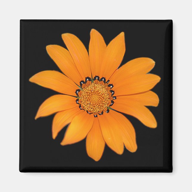 Íman Laranja Floral (Frente)